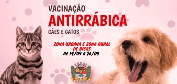 Vacinação Antirrábica Cães e Gatos